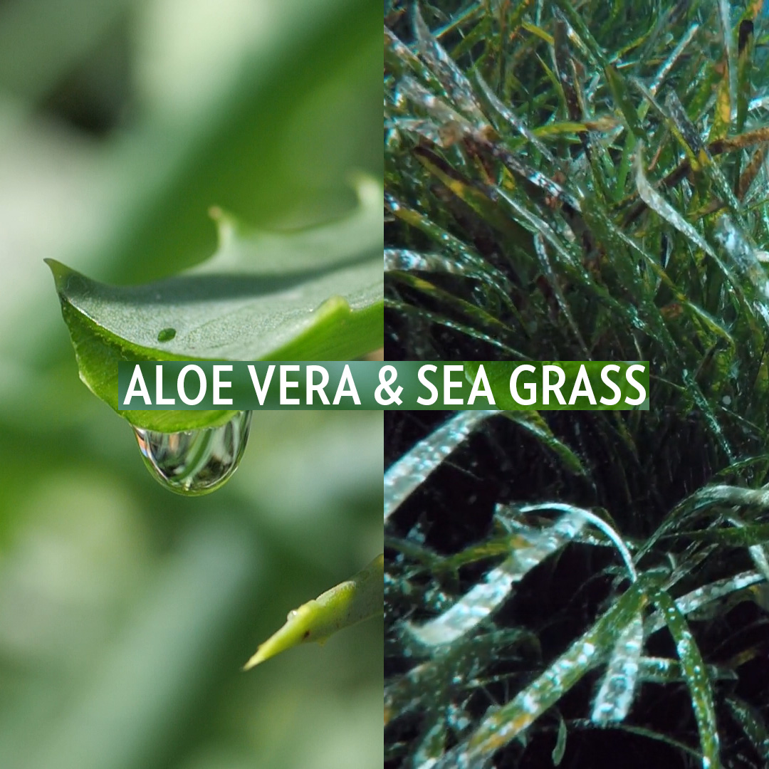 Szampon nawilżający HYDRO z aloesem i trawą morską – delikatna pielęgnacja dla każdego typu włosów - obrazek 3